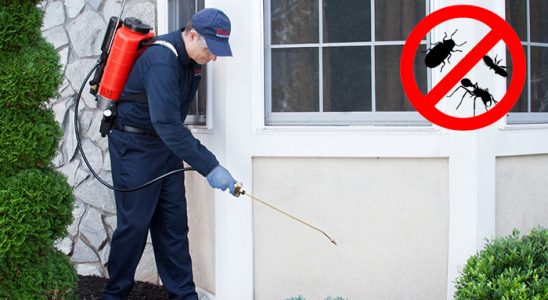 Kuşadası Fare İlaçlama böcek ilaçlama ve haşere kontrolü — ilaclama-tr.com